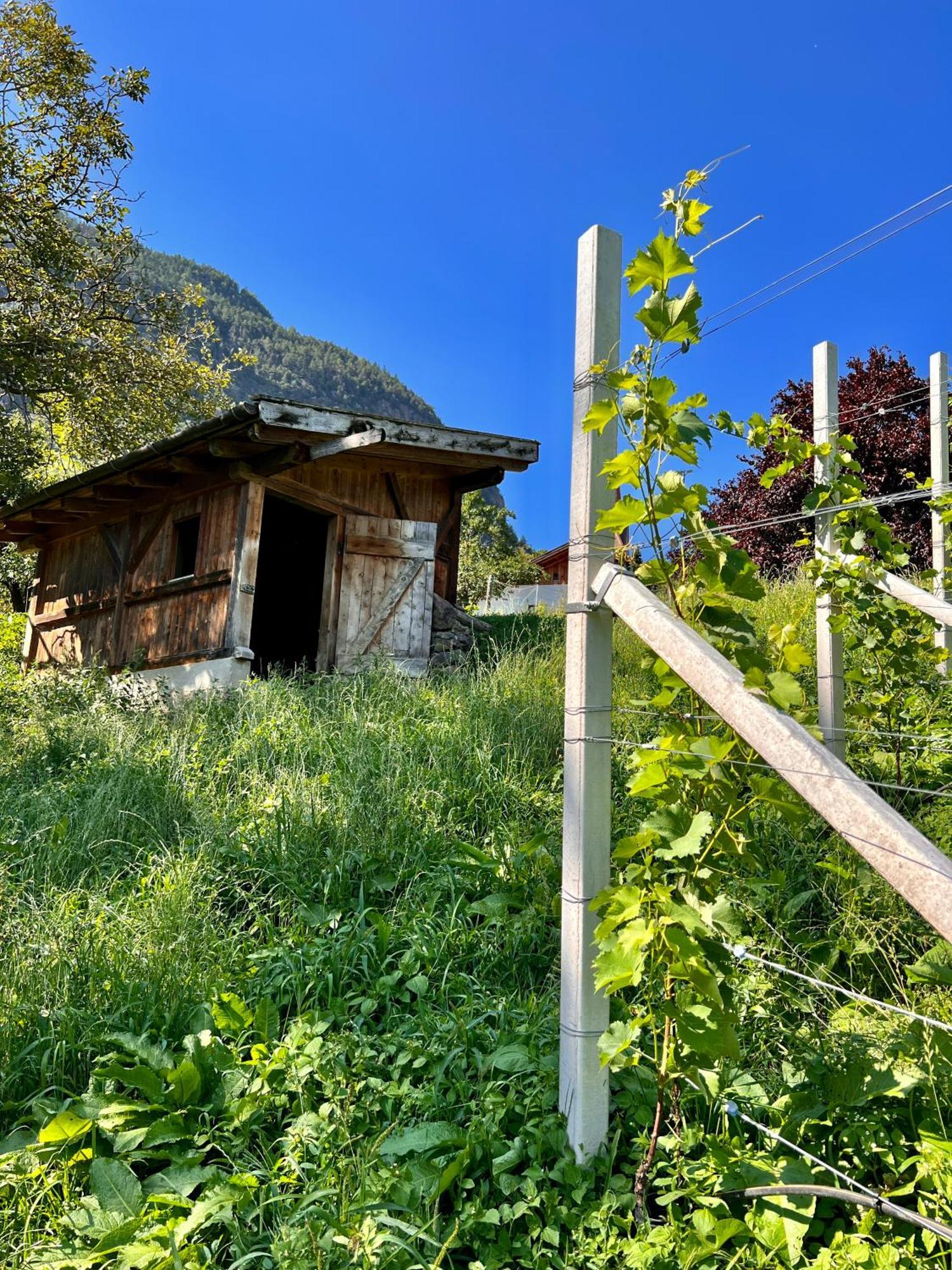 Gasserhof Barbiano  Exterior photo